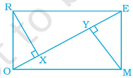 The Alignment Triangle Flexi answers - A rectangular MORE is shown below: Answer the following ...