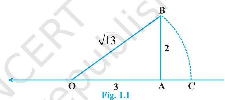 Graphs of Square Root Functions | Flexi Homework help & answers | CK-12 ...