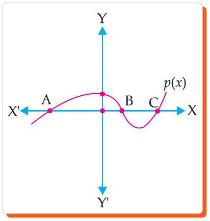 Graph of polynomial p(x)