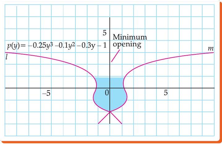Flower vase polynomial graph