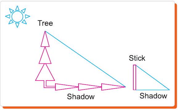 Stick and tree shadow diagram