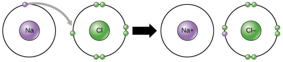 c7a1a4c3-4ec4-4022-8840-56dd9105eb69-1.jpg?height=216&width=983&top_left_y=1443&top_left_x=571