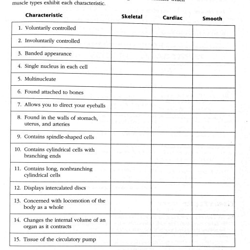 The three types of muscle tissue exhibit certain similaritie Quizlet