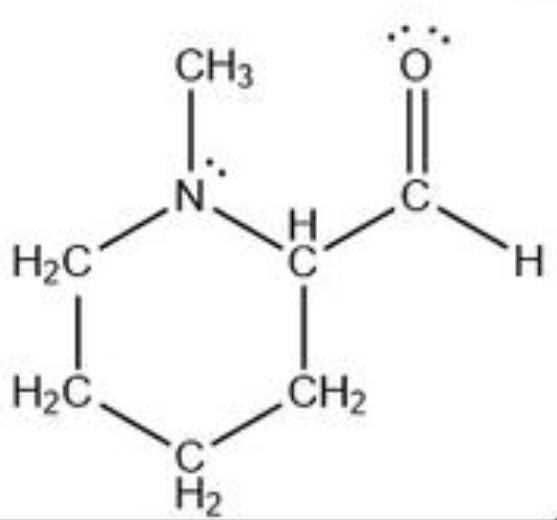 Organic Chemistry 9780321971371 Exercise 26n Quizlet