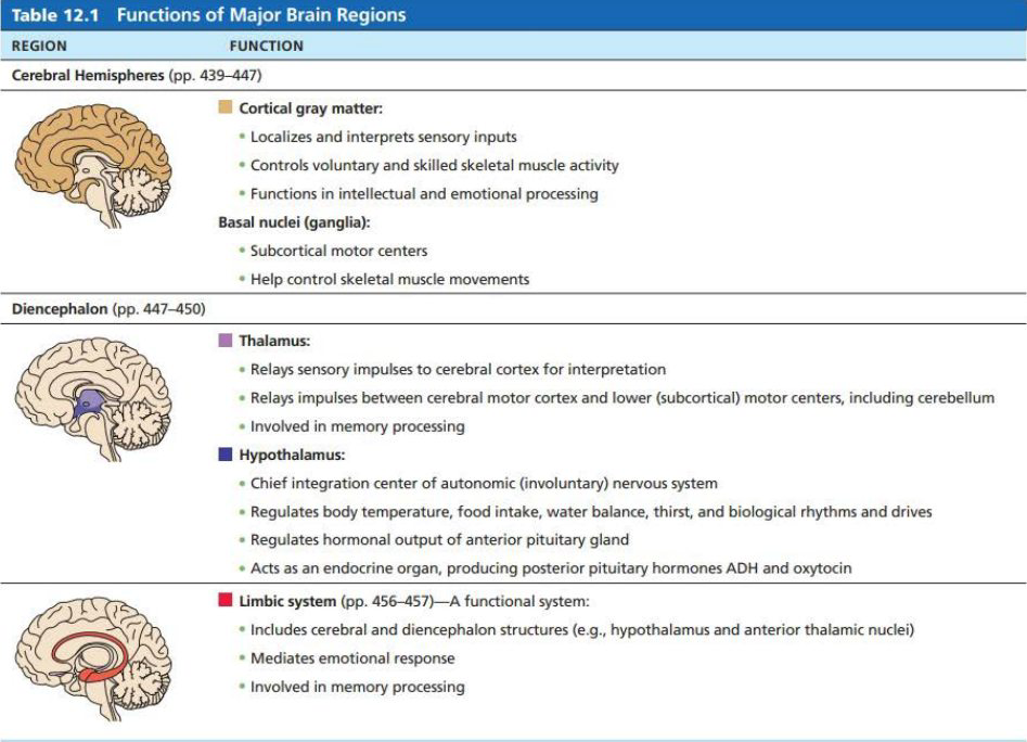 FOOSH is an acronym that stands for Fall on Outstretched Han Quizlet